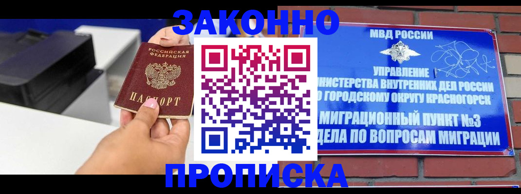 временная регистрация гарантия в Палласовке